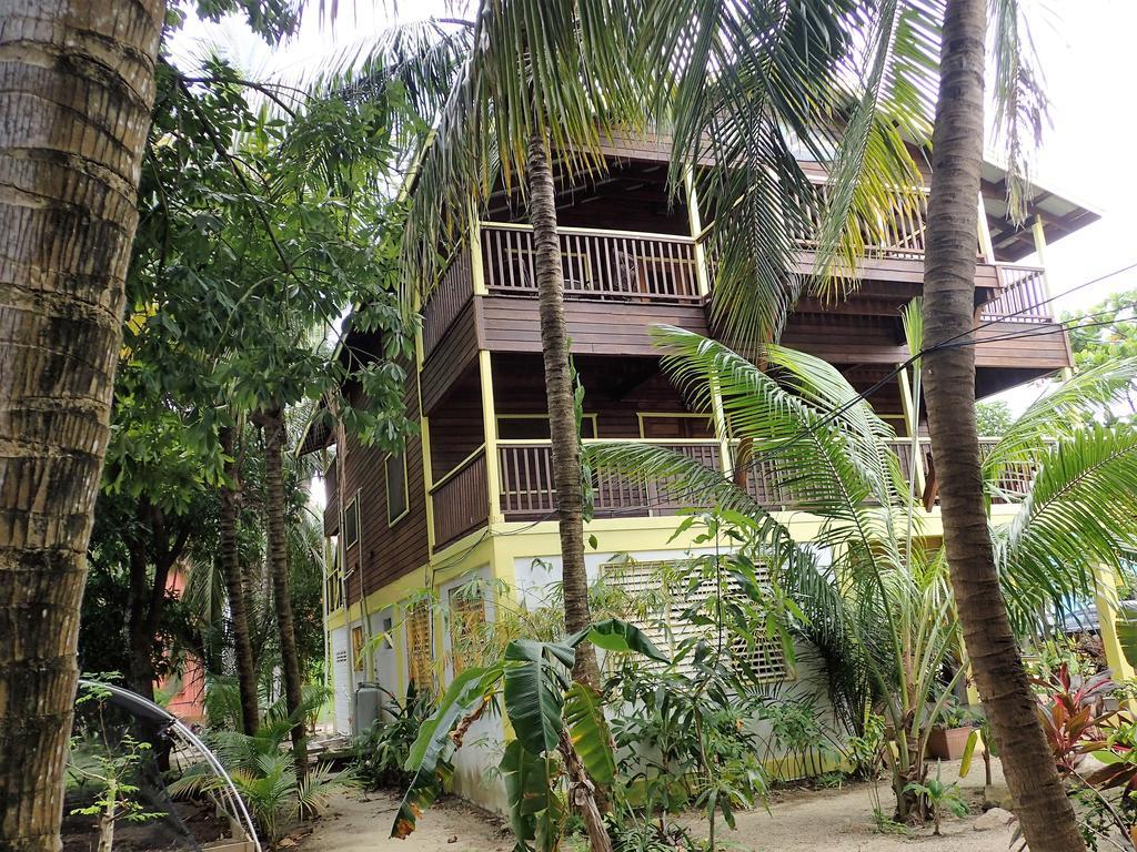 Placencia Driftwood Gardens Guesthouse מראה חיצוני תמונה